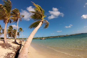 petit-terre-croisiere-guadeloupe
