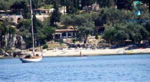 Antipaxos