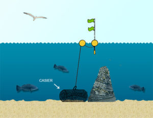 peche-casier