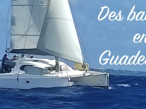 Stage de voile black pearl - Baleines Guadeloupe