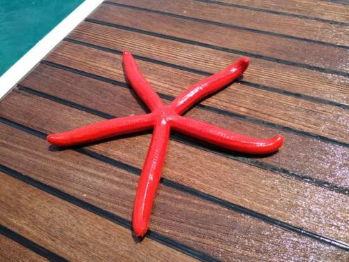 snorkeling en grece